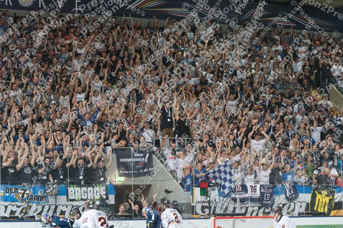 mf_RBMWOB_20170409_2134