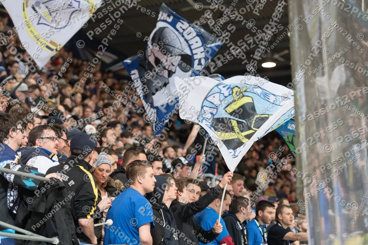 mf_RBMBHV_20170307_1997