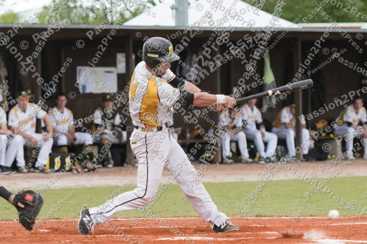 mf_MHDMT_20170512_0437