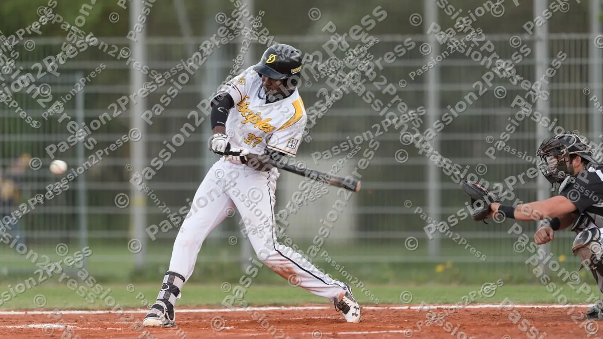 mf_MHDMT_20170512_0470