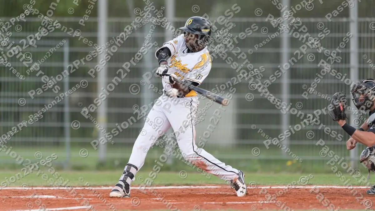 mf_MHDMT_20170512_0488