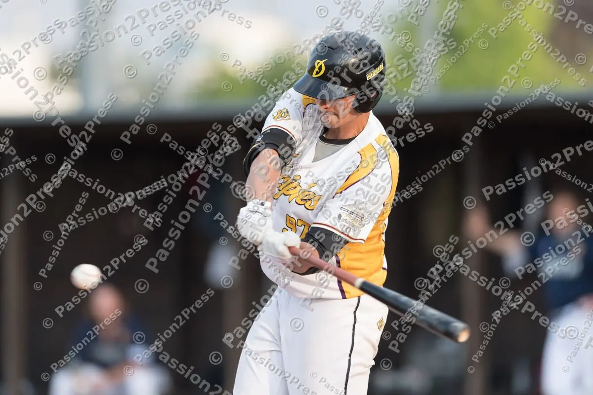 mf_MHDHDH_20170518_0529