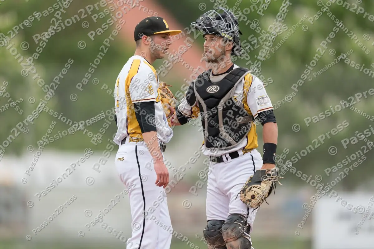 mf_MHDREG_20170524_0020