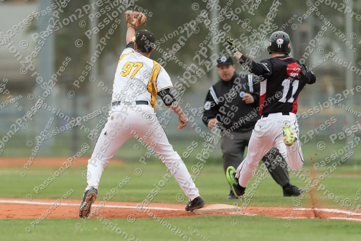 mf_MHDREG_20170524_0121