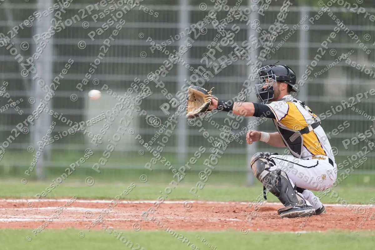 mf_MHDREG_20170524_0234