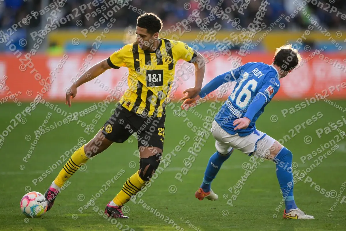 TSGBVB_20230225_2524