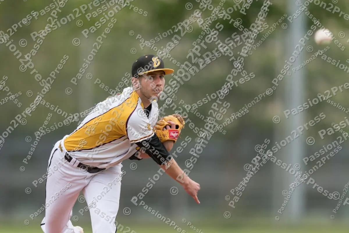 mf_MHDREG_20170524_0283