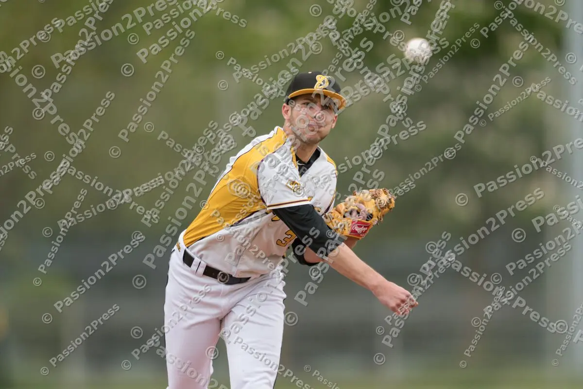 mf_MHDREG_20170524_0305