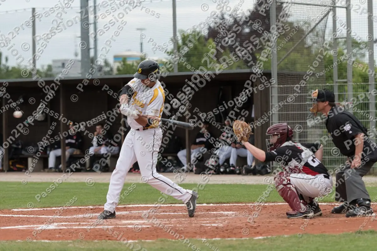 mf_MHDREG_20170524_0424