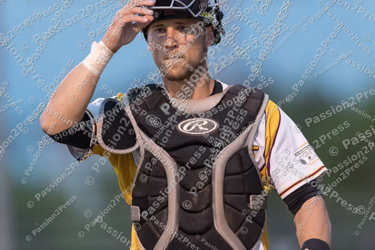 mf_MHDREG_20170524_0675