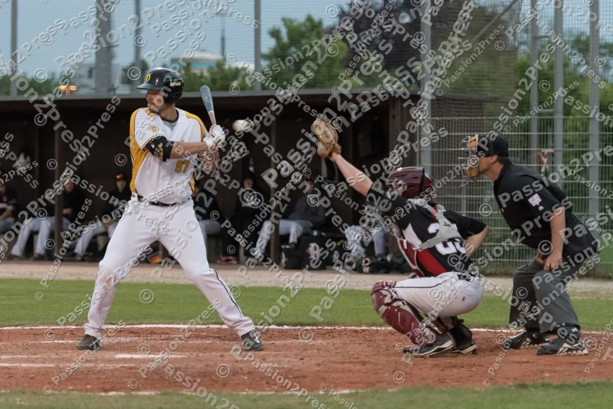 mf_MHDREG_20170524_0721