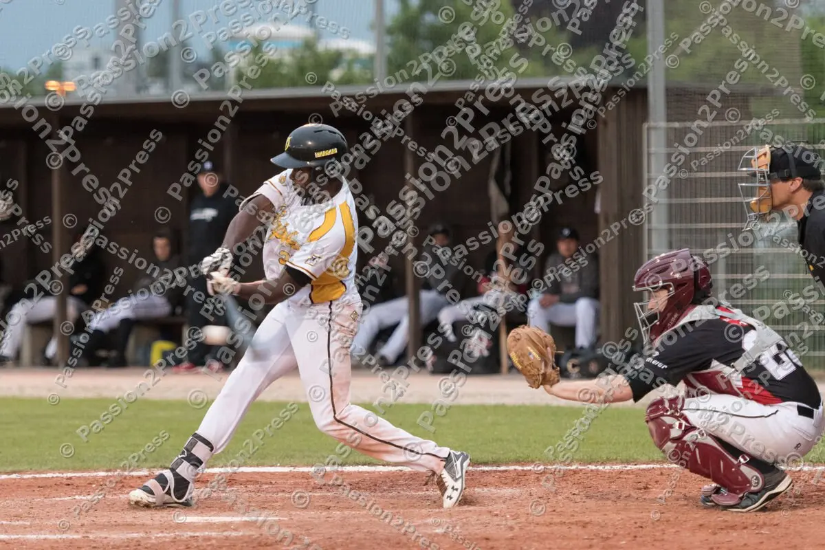 mf_MHDREG_20170524_0736