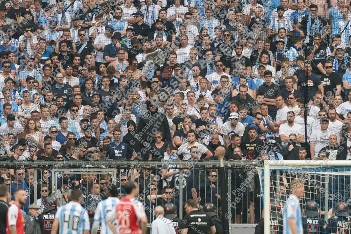 mf_M60JR_20170530_0803