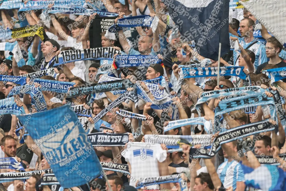 mf_M60JR_20170530_1136