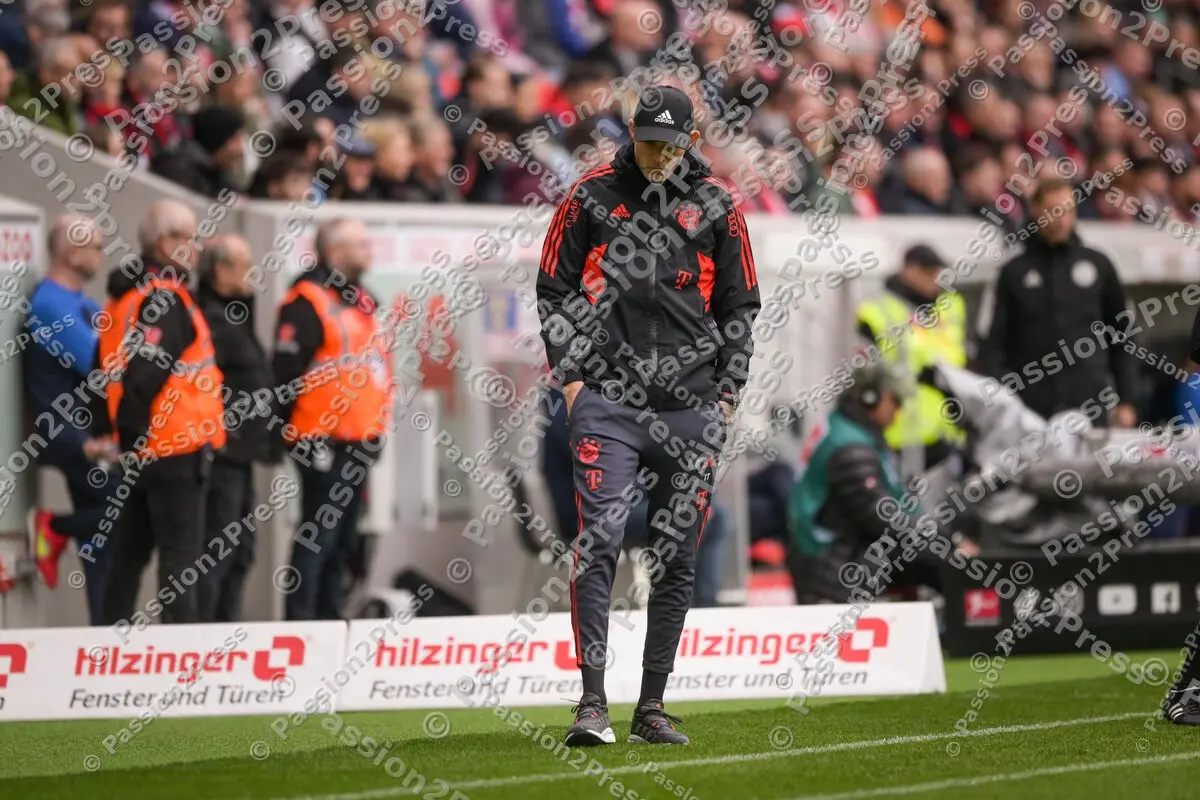 SCFFCB_20230408_1048