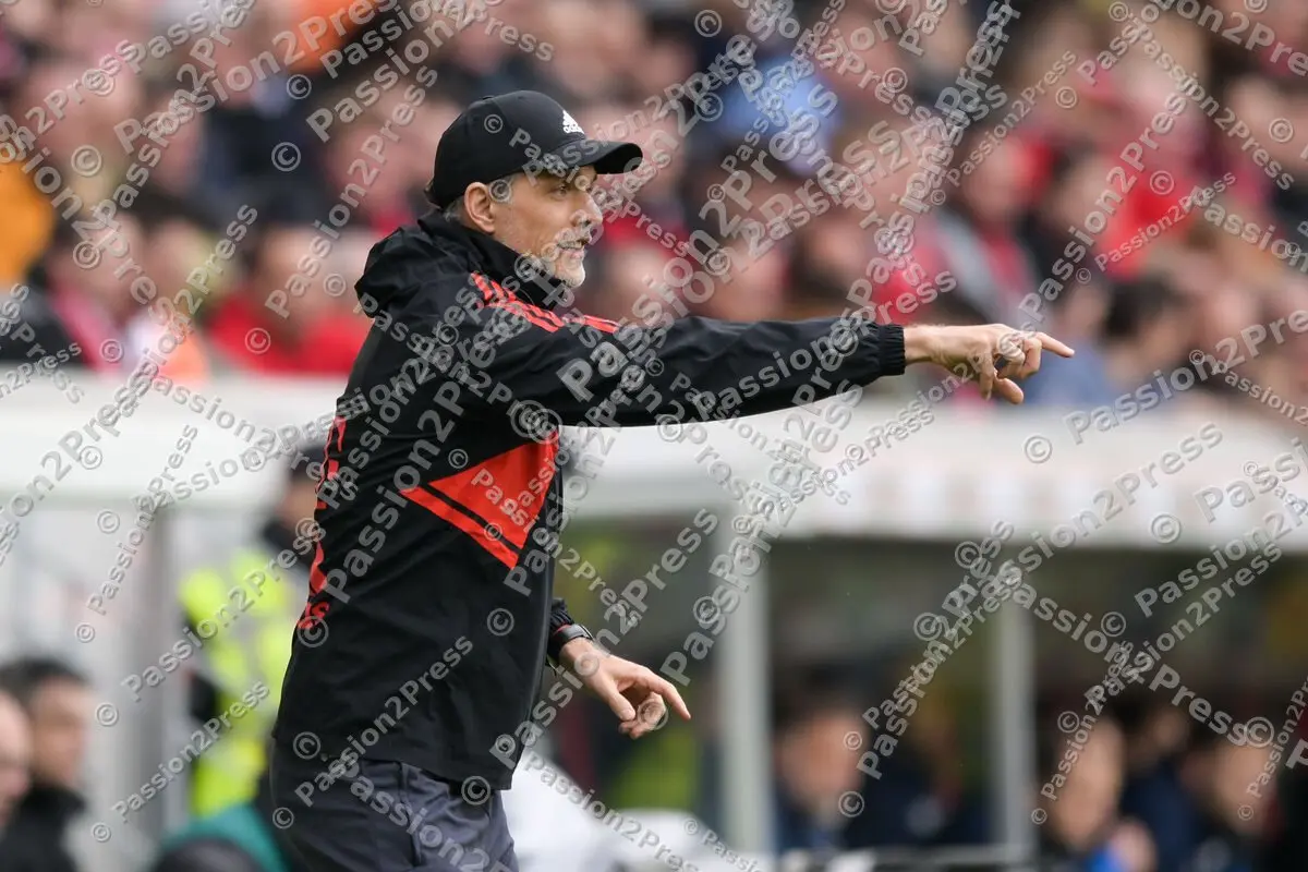 SCFFCB_20230408_1449