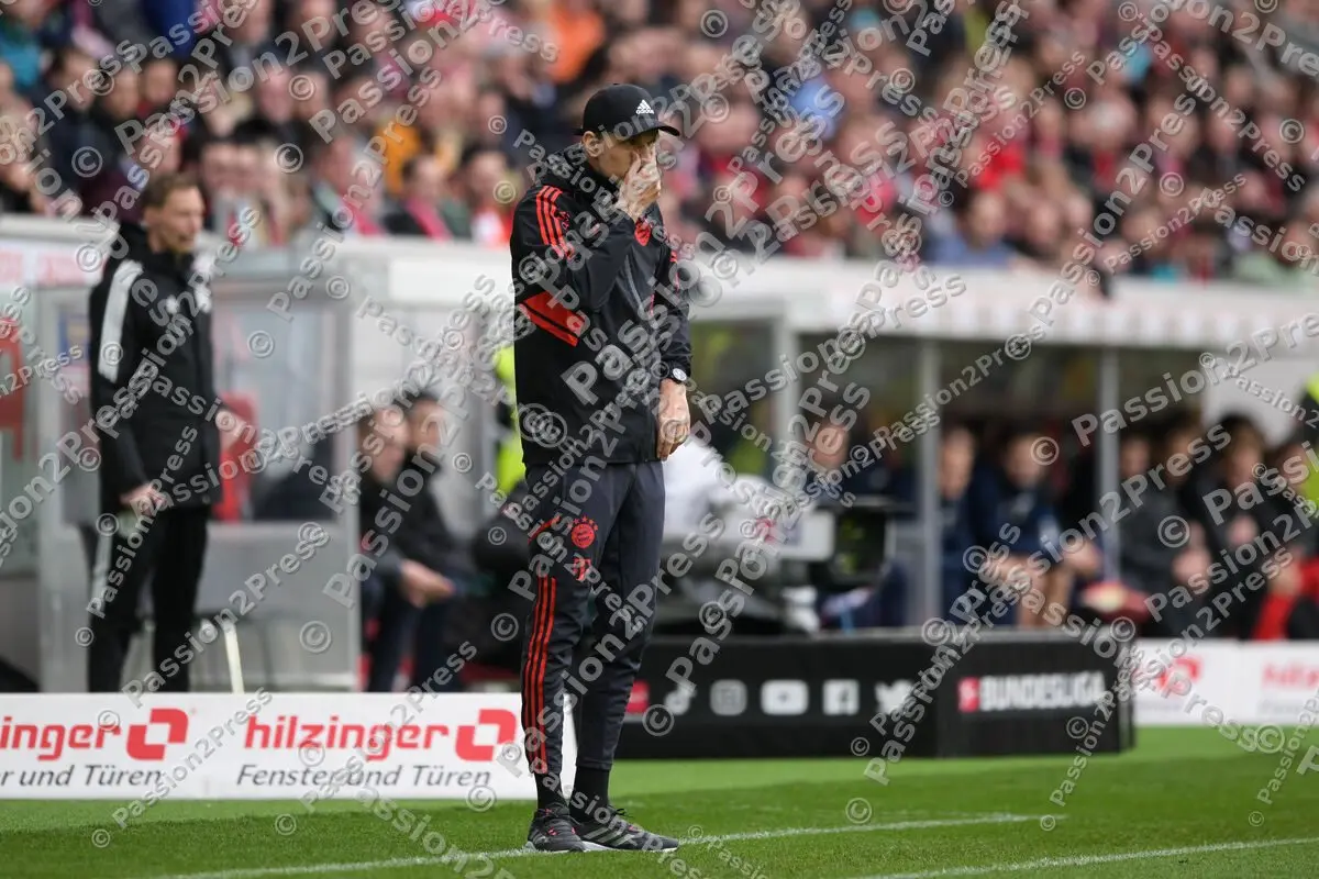 SCFFCB_20230408_1469