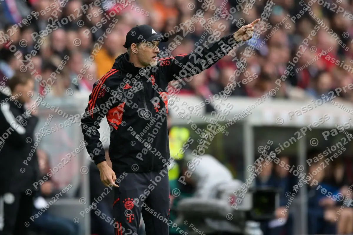 SCFFCB_20230408_1553