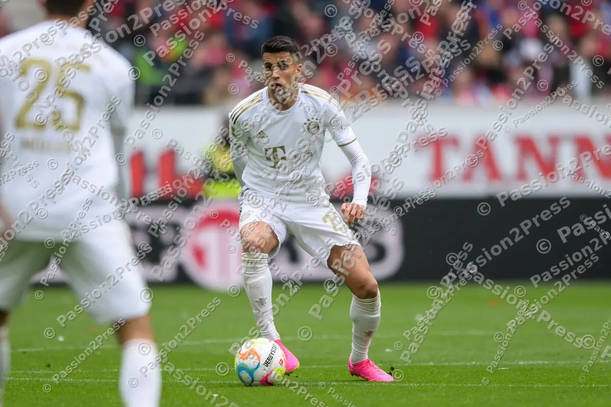 SCFFCB_20230408_2080