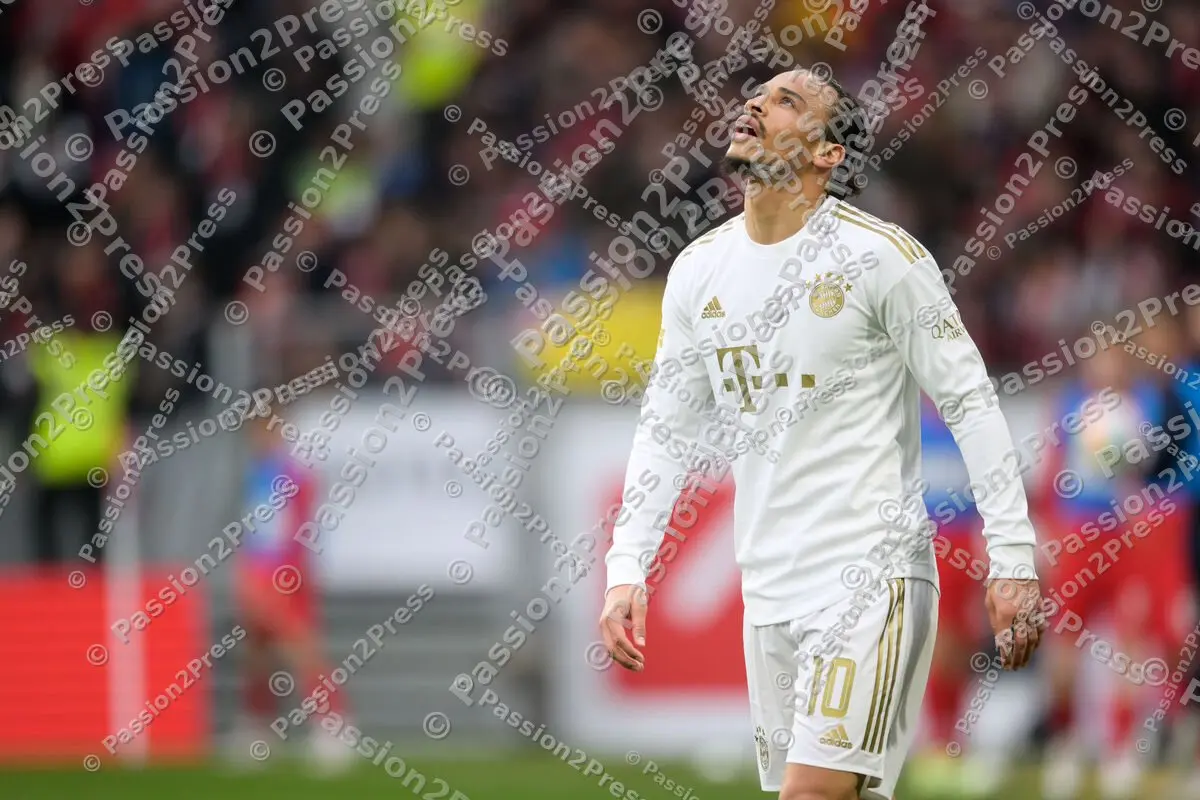 SCFFCB_20230408_3563