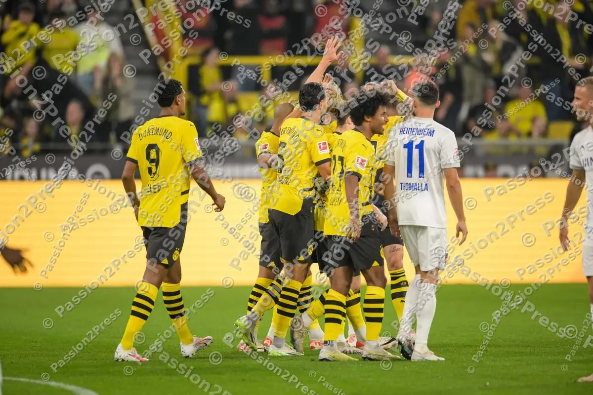 BVBFCH_20230901_1099