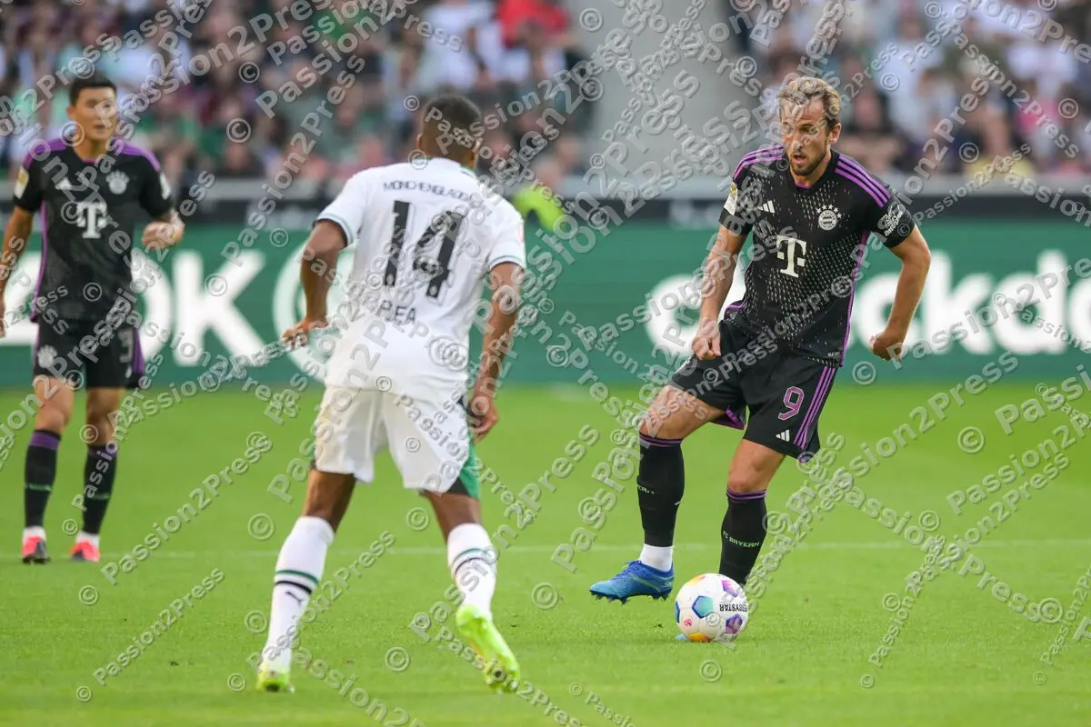 BMGFCB_20230902_1264