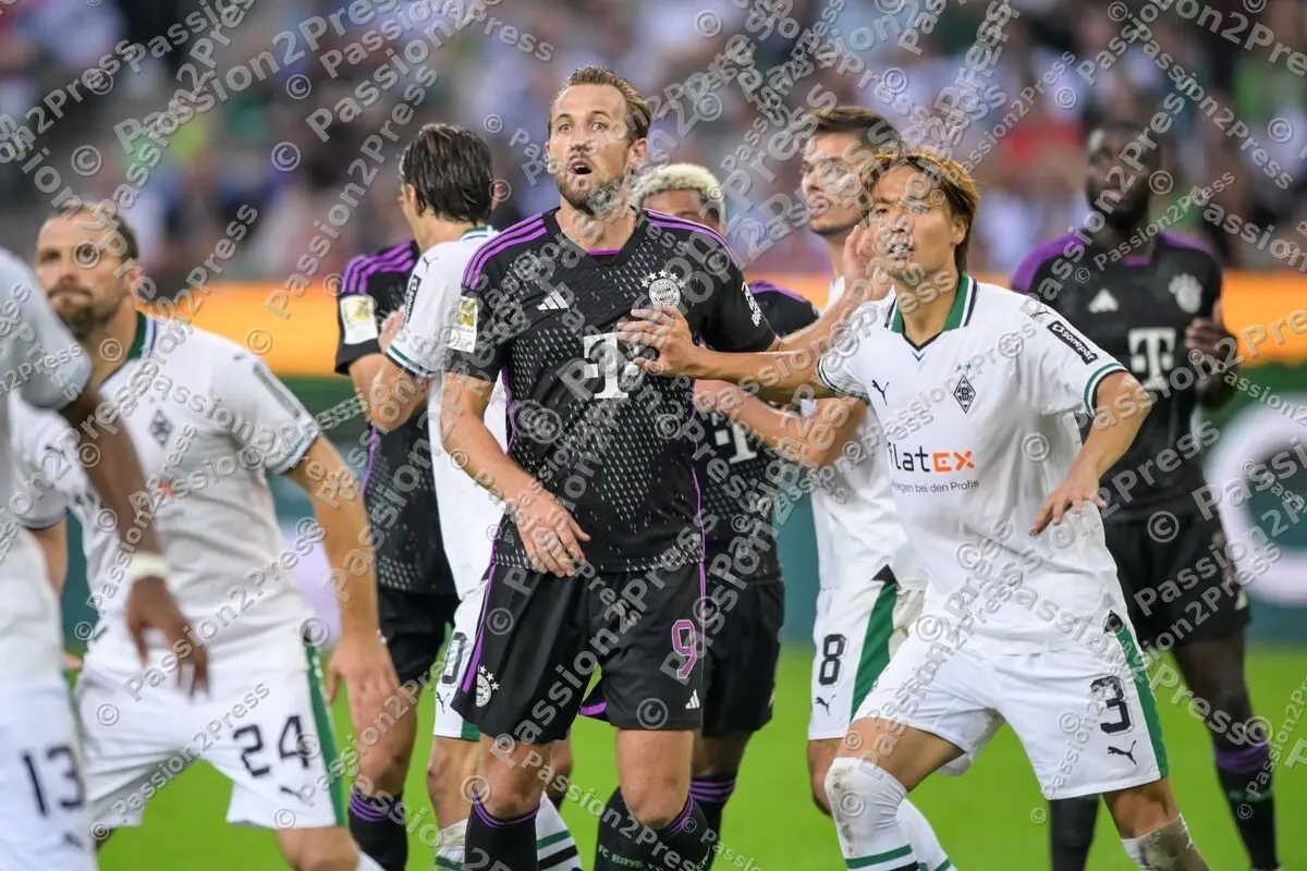 BMGFCB_20230902_2896