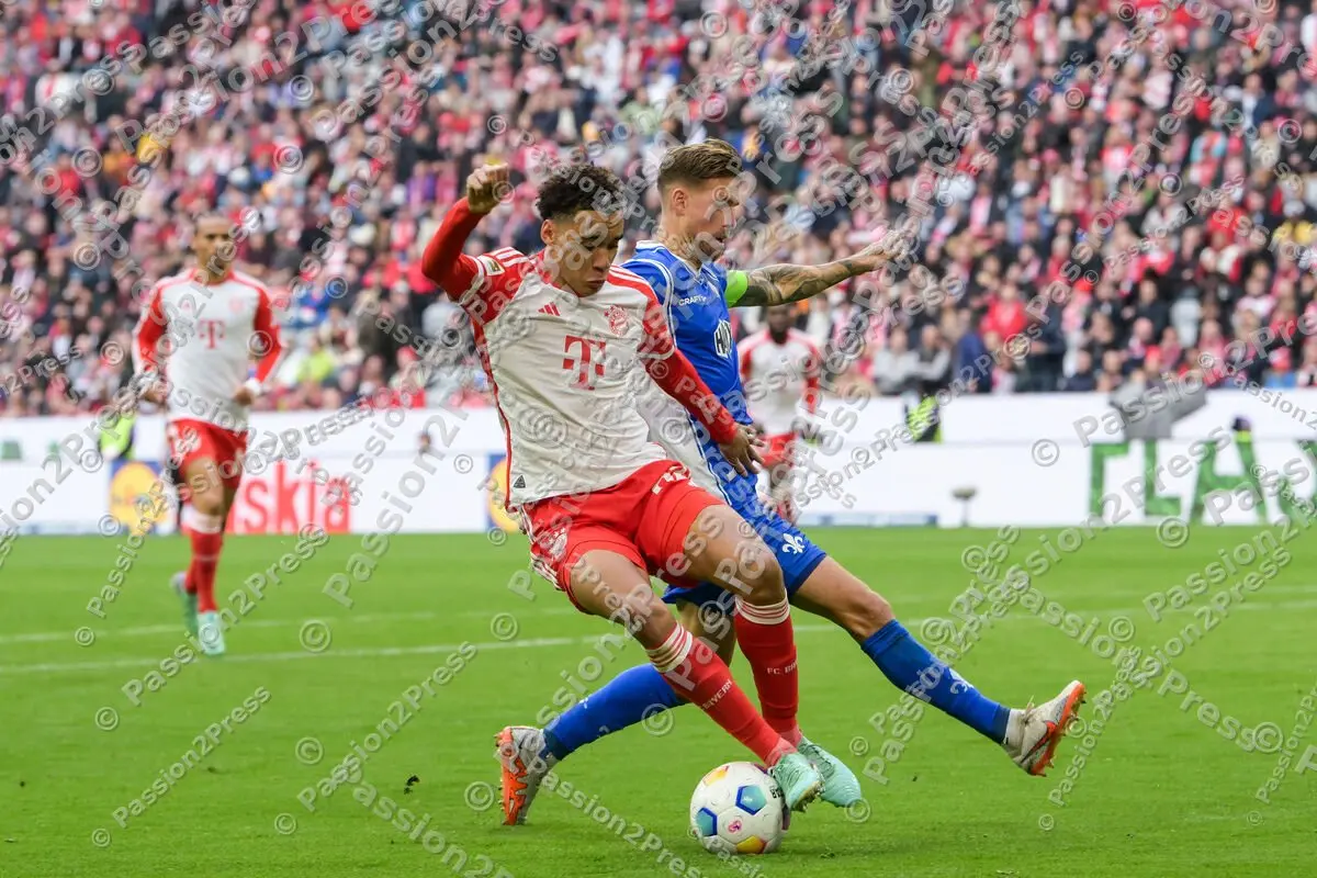 FCBSVD_20231028_2109