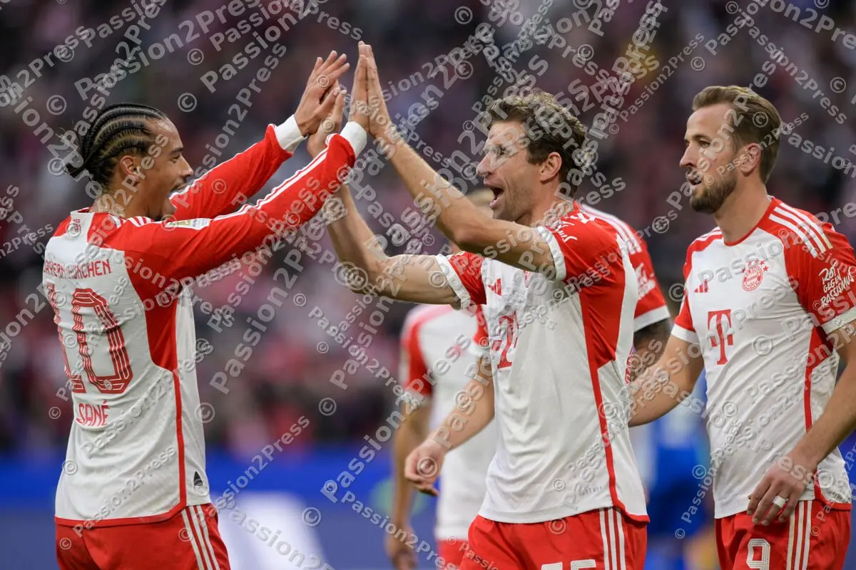 FCBSVD_20231028_2671