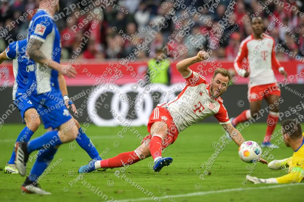 FCBSVD_20231028_3095
