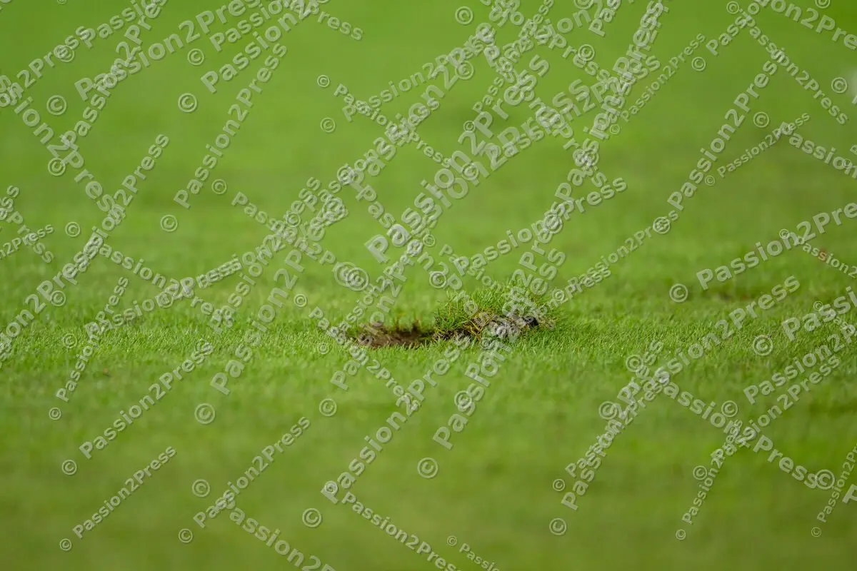 FCSFCB_20231101_1075