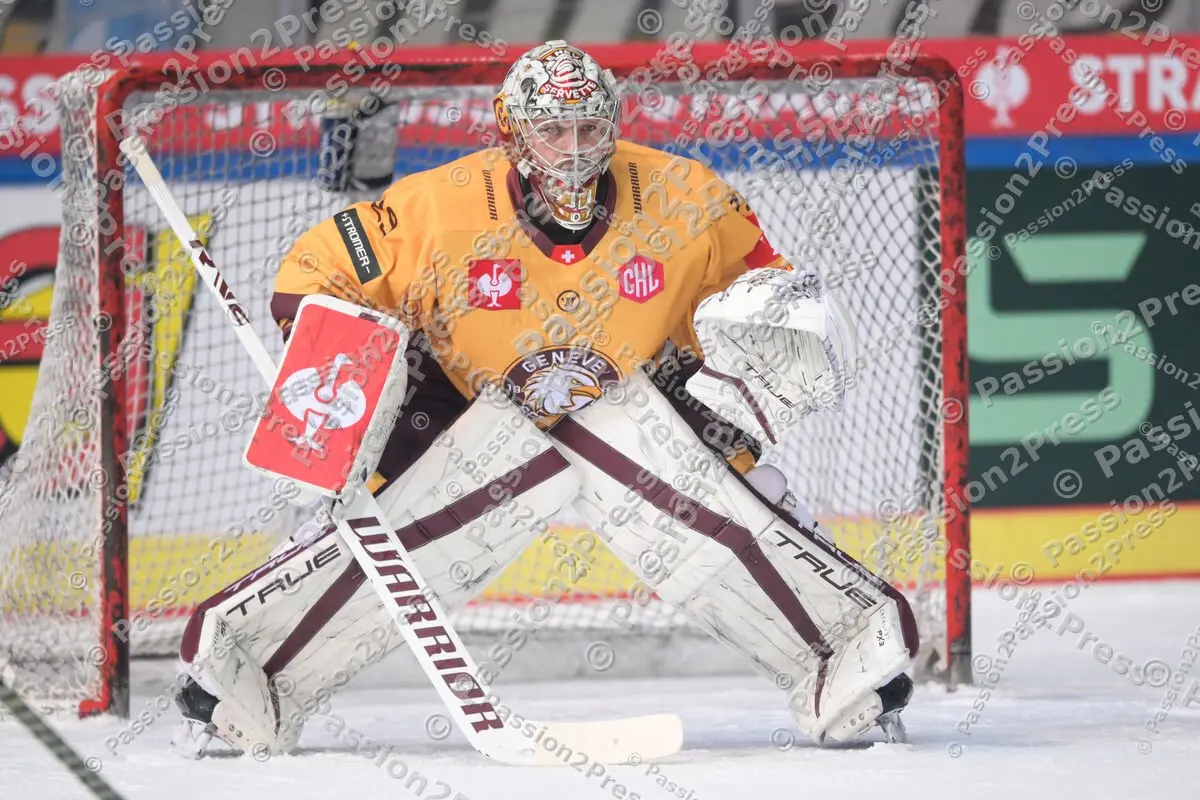 20231115 EHC Red Bull München - Geneve-Servette Hc