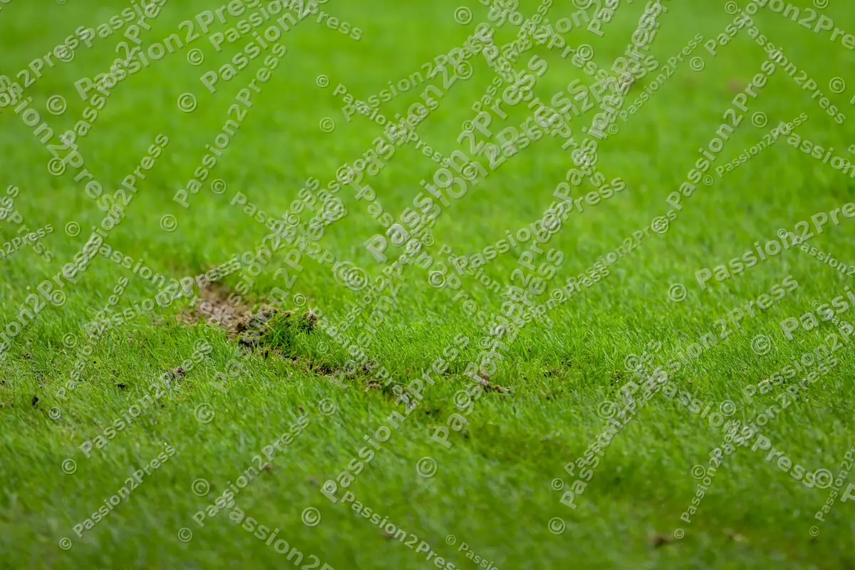 FCARBL_20240210_0674