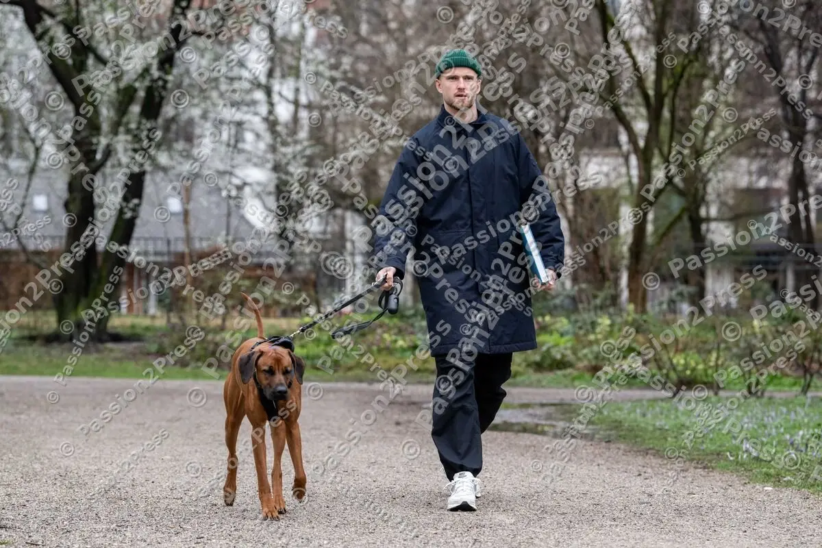 P2P4TT_20240306_E058