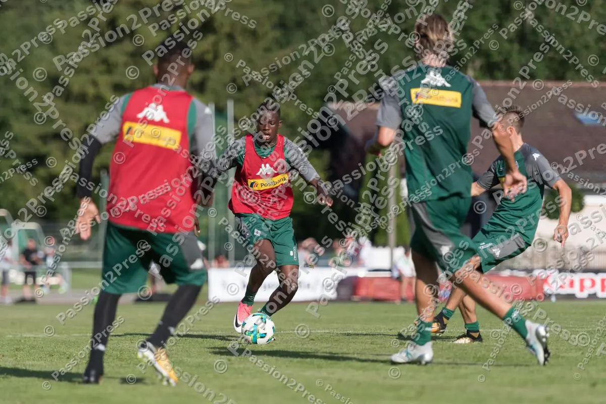 mf_BMG_20170717_0611