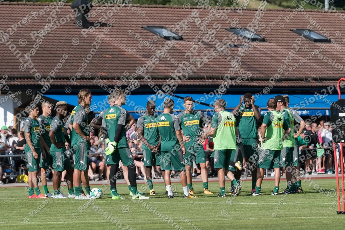 mf_BMG_20170717_1061