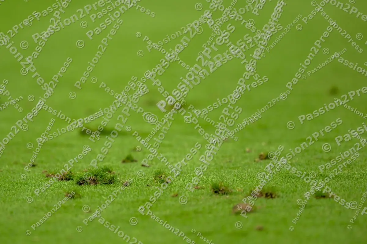 DENENG_20240620_0998