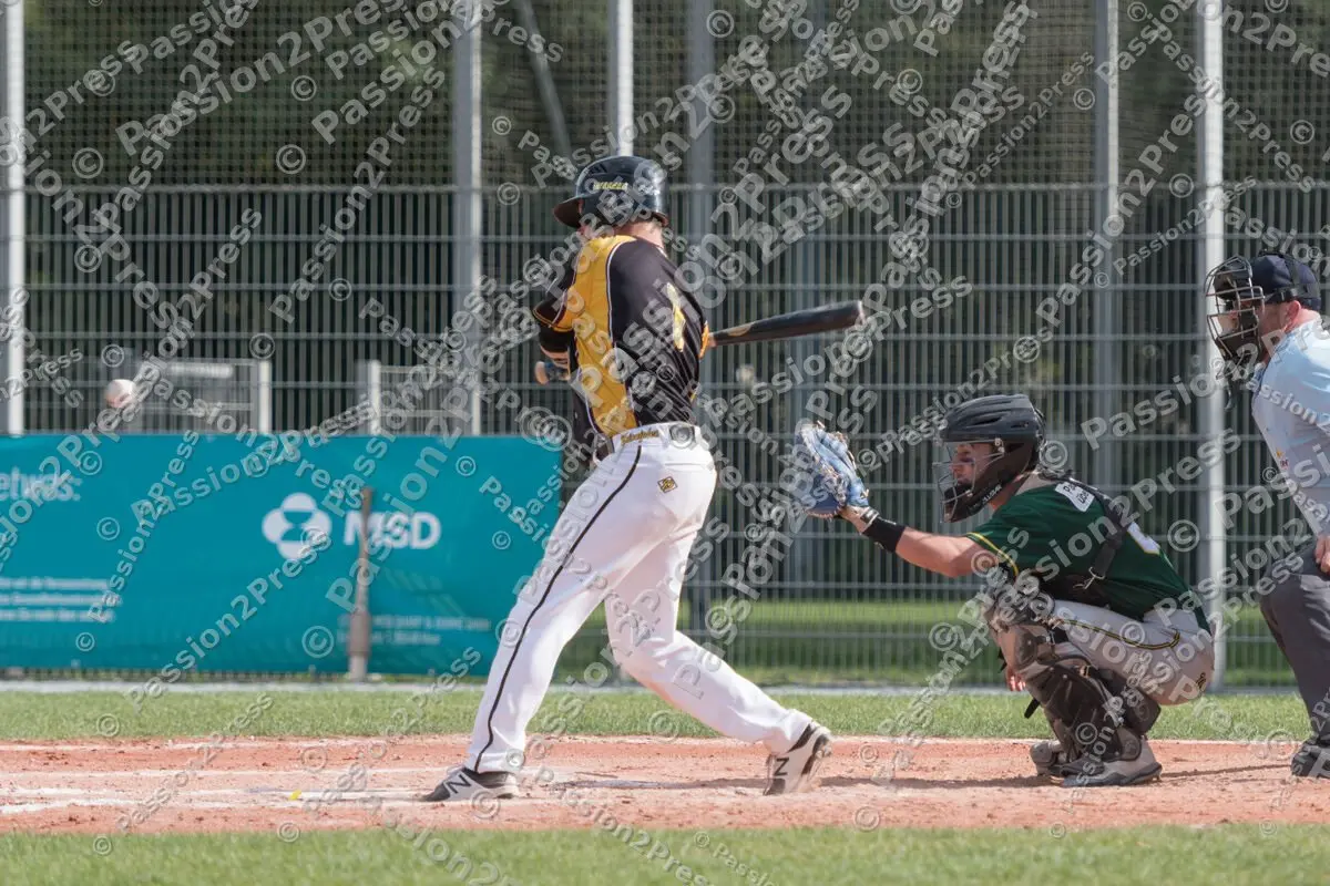 mf_HDPU_20170805_0004