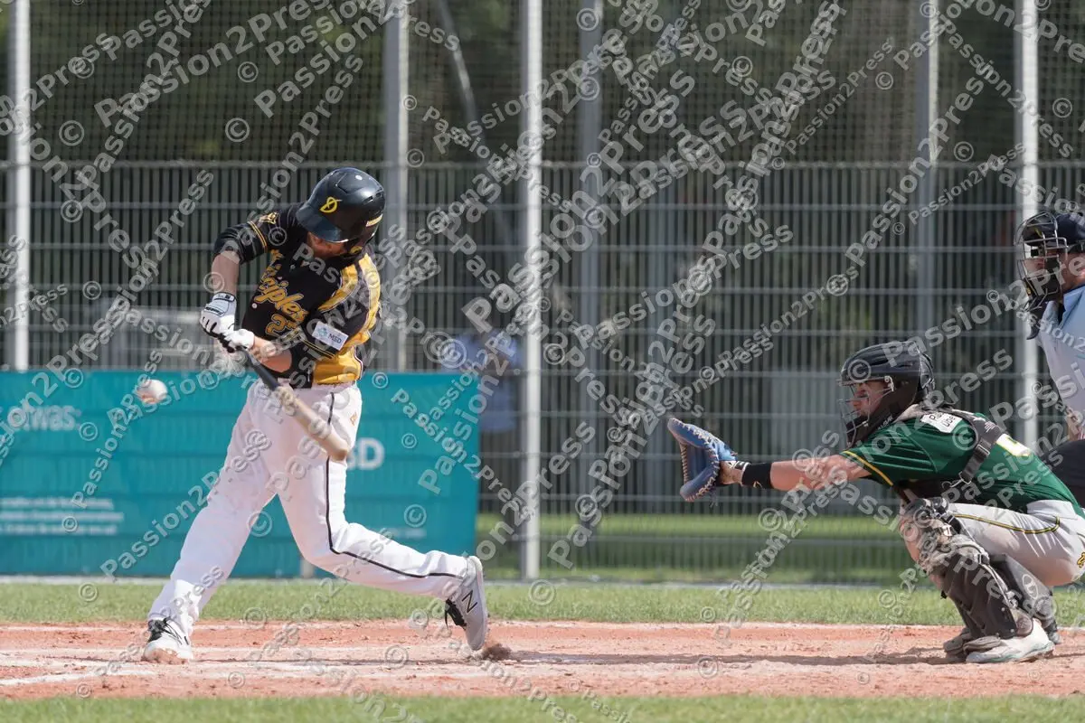 mf_HDPU_20170805_0019