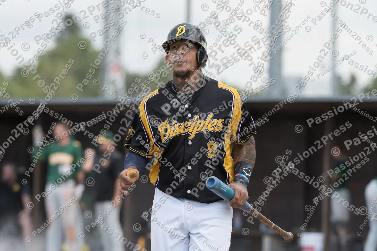 mf_HDPU_20170805_0099