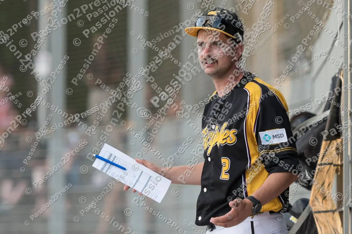 mf_HDPU_20170805_0489